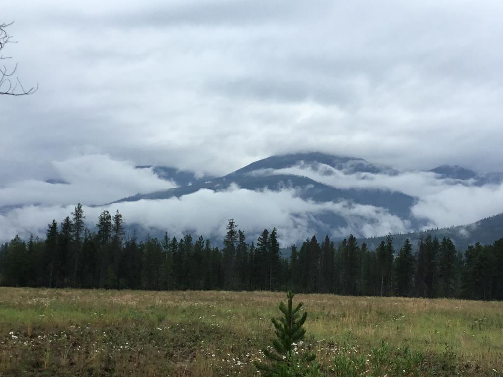 Rose Cottage Bed & Breakfast Valemount Dış mekan fotoğraf