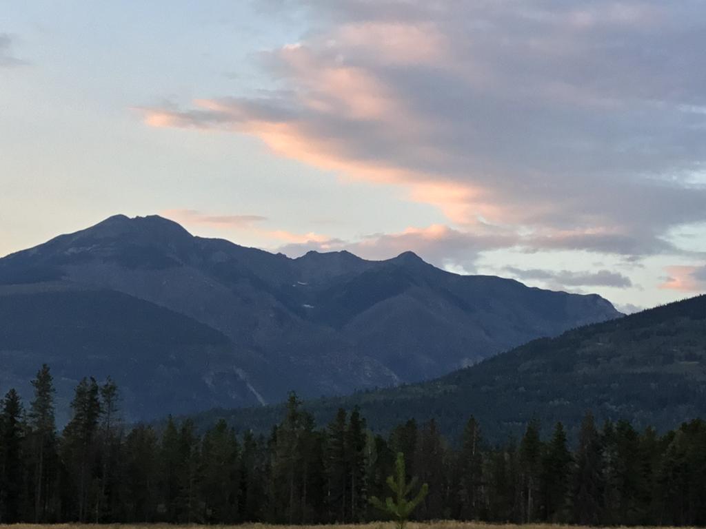 Rose Cottage Bed & Breakfast Valemount Dış mekan fotoğraf