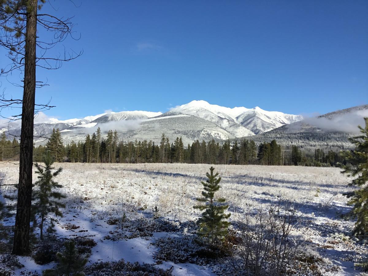 Rose Cottage Bed & Breakfast Valemount Dış mekan fotoğraf